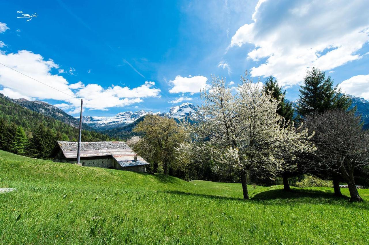 Olympic Regina Hotel Pinzolo Eksteriør bilde