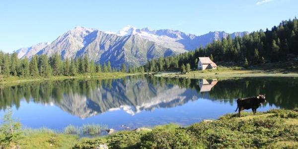Olympic Regina Hotel Pinzolo Eksteriør bilde
