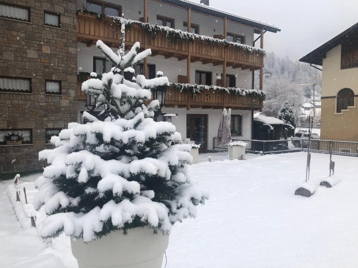 Olympic Regina Hotel Pinzolo Eksteriør bilde